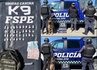 Elementos de las FSPE detuvieron a dos sujetos con 210 dosis de drogas.
