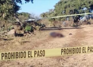 El cuerpo de un hombre ejecutado fue encontrado por vecinos de la comunidad de Las Flores en Morelia.