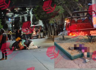 Detiene la Policía de León a presunto imputado de ataque armado.