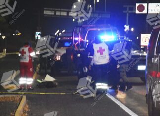 Localizan el cuerpo sin vida de un hombre en el camino de acceso a la comunidad de Rincón de Tamayo en Celaya.