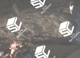 Una pareja que viajaba en moto fue arrollada por un vehículo en Salvatierra, fueron reportados graves.