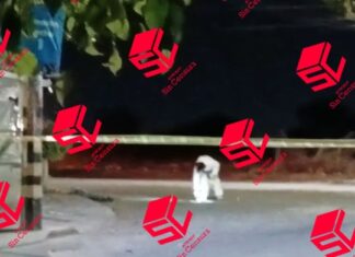 Un hombre fue asesinado en la colonia Cerrito de Jerez en León, Fiscalía ya investiga.