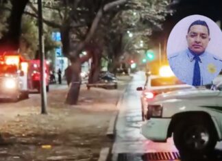 Tránsito de León y su esposa fallecieron después de impactar el vehículo en qué viajaban con un árbol.