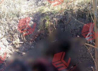 Localizan el cuerpo de una persona en avanzado estado de descomposición, en la comunidad de Plancarte en Celaya.