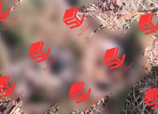 Localizan restos óseos en la comunidad de Las peñas en Moroleon.