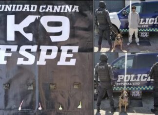 Detienen en León a un sujeto con varias dosis de droga conocida como «cristal»