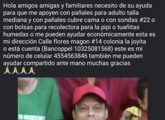 Servicio Social URIANGATO: