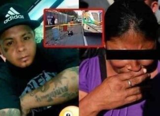 “Mi hijo sólo salió a asaltar los buses como todos los días y me lo mataron