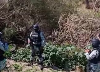 Localizan el cuerpo sin vida y en avanzado estado de descomposición de una persona en un camino vecinal entre la comunidad de El Pitayo y la colonia Barlovento, en Salamanca.