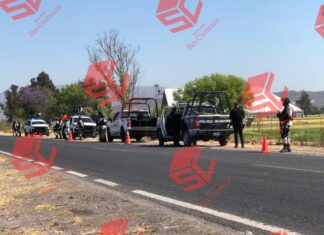 DEJAN PERSONA SIN VIDA SOBRE LA CARRETERA SALVATIERRA-CORTAZAR