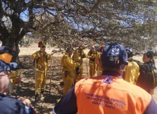 Autoridades estatales combaten incendio en la Sierra de Lobos
