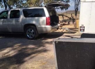 Sujetos armados despojaron de su equipo de trabajo al grupo norteño «La Llegada» en la comunidad Acebuche en Tarimoro