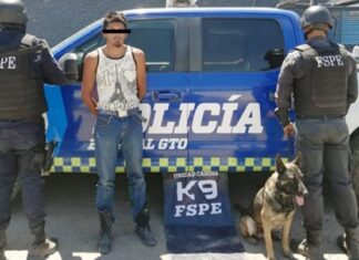 Elementos de la Unidad Canina K9 detuvieron a un sujeto en posesión de 130 dosis de droga en León