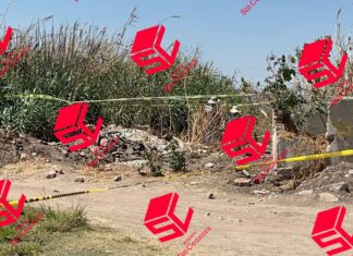 Autoridades Estatales investigan el hallazgo de tres cuerpos en presunta fosa clandestina en Irapuato