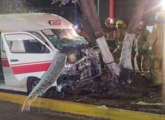 Se impacta combi contra árbol y el chofer queda prensado