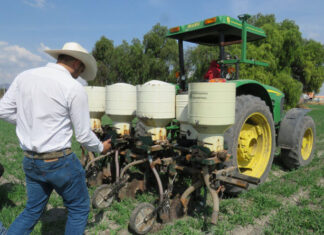 Guerra en Ucrania encarece precios de fertilizantes para campesinos de Guanajuato.