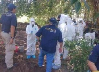 Encuentran 12 cuerpos en una fosa clandestina en #Puruándiro; uno es de una mujer