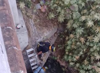 Localizan el cuerpo sin vida de un hombre en el Río Laja en Apaseo el Grande