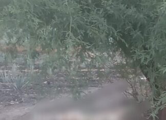 Localizan el cuerpo sin vida de una mujer con visibles huellas de violencia en la comunidad de Boquillas en Abasolo