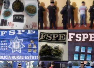 En una semana, el Operativo Guanajuato Seguro sacó de circulación más de 18 mil 600 dosis de drogas