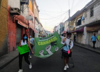 Vallenses marcharon en favor del uso lúdico de la Cannabis (marihuana)