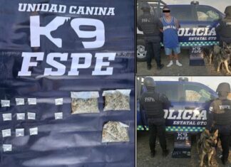 Detiene la Unidad Canina K9 de las FSPE en León, a un hombre que estaba en posesión de diversos tipos de droga.