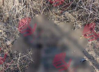 Localizan restos humanos en la colonia Lomas de San José de las Joyas Siglo XXI en León