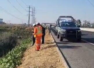 Localizan el cuerpo sin vida de un hombre en el libramiento Irapuato-Valle de Santiago