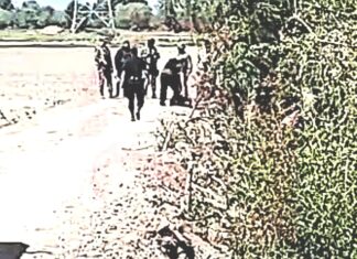 El cuerpo sin vida de un hombre fue encontrado un camino de terraceria en la comunidad de Loma de San Antonio