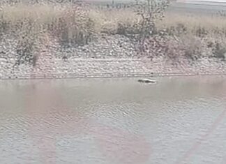 Encuentran el cuerpo sin vida de un hombre al interior del canal de Coria en Salamanca