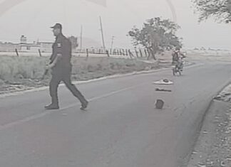 Encuentran persona desmembrada en la comunidad Loma de San Antonio en Salamanca