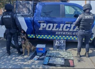 Asegura la Unidad Canina #K9 de las #FSPE en #León, 821 dosis de diversos tipos de droga y más de 12 mil pesos de dinero en efectivo