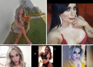 Conductor responsable de la muerte de seis personas en choque la madrugada de ayer, está detenido y disposición de las autoridades ministeriales.