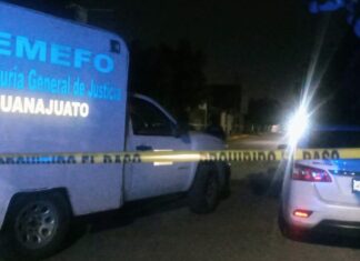 Un hombre murió arrollado en la carretera Panamericana en Apaseo El Grande.