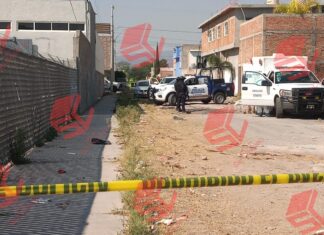 Localizan restos humanos en la Del Bosque en Celaya