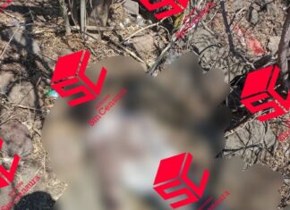 Localizan a un joven sin vida en un predio en la colonia Las Américas de Moroleón