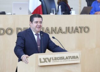 Solicita GPPAN al gobierno federal brinde protección a los activistas y ambientalistas de México