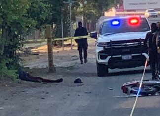 Fallece atropellado un elemento de Seguridad y Protección Ciudadana de León.