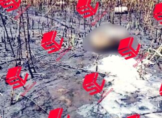 Brigada de búsqueda «Hasta encontrarte» localizó restos humanos disueltos en ácido en Irapuato