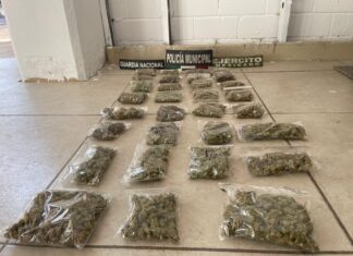 Operativo conjunto logra decomiso de droga en Salamanca.