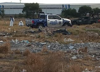 Asesinan a una mujer en la colonia Pedro María Anaya en Celaya