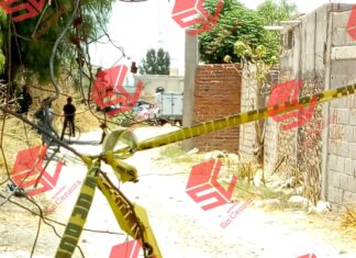 Localizan el cuerpo sin vida de un hombre con visibles huellas de violencia en la comunidad 1ra Fracción de Crespo en Celaya