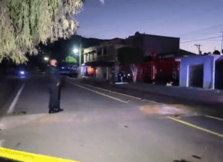 Encuentran los cuerpos desmembradas de un hombre y una mujer en la comunidad de La Ordeña, en Salamanca