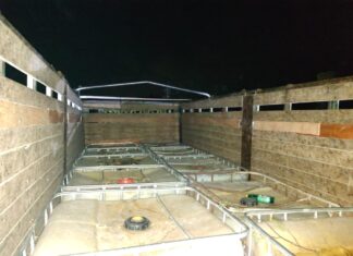 Elementos de SEDENA y Policía Municipal de Celaya aseguraron dos tracto camiones con 110 mil litros de hidrocarburo robado en Comonfort.