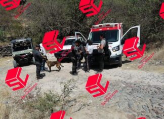 Elementos de la Policía Municipal rescataron a cuatro menores de edad en el Cerro del Talayote reportados como extraviados en Apaseo el Alto