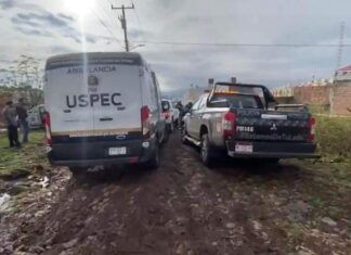 Tres adultos y dos menores fueron encontrados sin vida la mañana de este jueves en Morelia Mich.