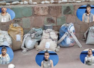 La SSC detuvo a una banda de lupios en Guanajuato