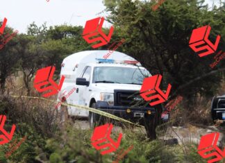 Localizan fosa clandestina con restos de al menos cinco personas en Juventino Rosas.