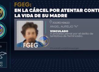 Acuchilló en más de 10 ocasiones a su progenitora y sólo la intervención de su padre salvó a la mujer de 69 años, de ser asesinada.