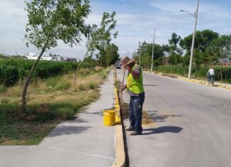 Servicios Públicos Municipales da mantenimiento a espacios públicos de Salamanca.